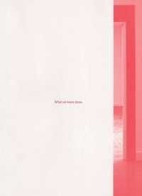 Jason Dodge - What We Have Done. 2 Vols -- Paperback / softback