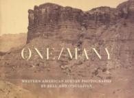 One/Many : Western American Survey Photographs by Bell and O'Sullivan