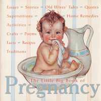The Little Big Book of Pregnancy