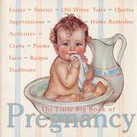 The Little Big Book of Pregnancy (Little Big Book)