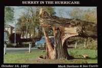 Surrey in the Hurricane: Great Storm of October 16th 1987 (Great Storm of 1987 in Southern England)