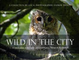 Wild in the City : A Celebration of the Open Spaces of Putney, Barnes and Richmond