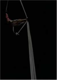 Circus