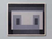 Josef Albers: Biconjugates, Kinetics and Variants