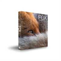 Fox : Neighbour Villain Icon