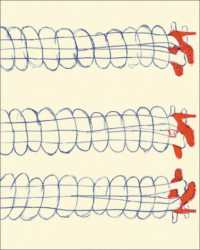 Louise Bourgeois at the Hermitage