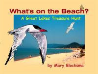 What's on the Beach? : A Great Lakes Area Treasure Hunt