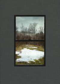 Bing Wright : Everyday Pictures