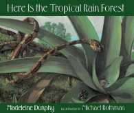 Here Is the Tropical Rain Forest (Web of Life)