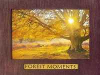 Forest Moments -- Paperback / softback