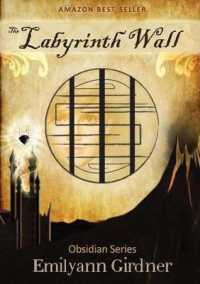 The Labyrinth Wall (Obsidian)