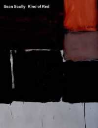 Sean Scully Kind of Red