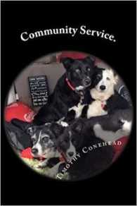 Community Service. : My name is Timothy and I'm a border collie.