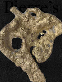 Pierre's Issue 01 - Pierre Huyghe : Bi-Anual Publication of the Artist's Institute (Pierre Huyghe) (The Artist's Institute)