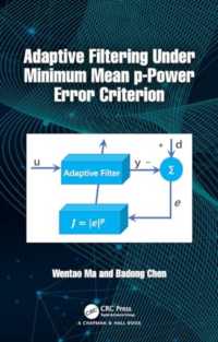 Adaptive Filtering under Minimum Mean p-Power Error Criterion