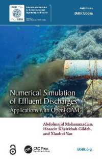 Numerical Simulation of Effluent Discharges : Applications with OpenFOAM (Iahr Monographs)