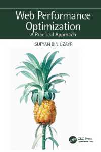 Web Performance Optimization : A Practical Approach -- Hardback