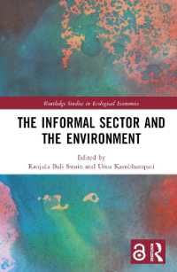 The Informal Sector and the Environment (Routledge Studies in Ecological Economics)