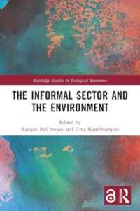 The Informal Sector and the Environment (Routledge Studies in Ecological Economics)