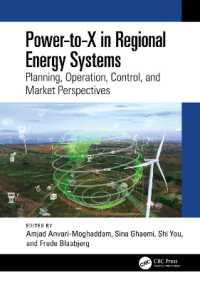 Power-to-X in Regional Energy Systems : Planning, Operation, Control, and Market Perspectives