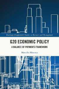 G20 Economic Policy : A Balance of Payments Framework (Routledge-giappichelli Studies in Business and Management)