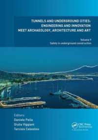 Tunnels and Underground Cities: Engineering and Innovation Meet Archaeology, Architecture and Art : Volume 9: Safety in Underground Construction