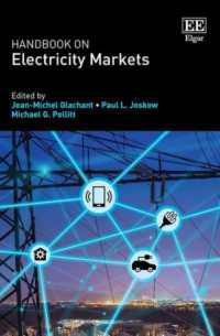 電力市場ハンドブック<br>Handbook on Electricity Markets