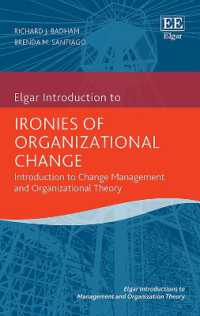 Ironies of Organizational Change : Introduction to Change Management and Organizational Theory (Elgar Introductions to Management and Organization Theory series)