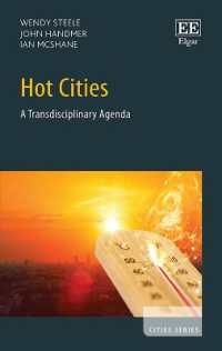 Hot Cities : A Transdisciplinary Agenda (Cities series)