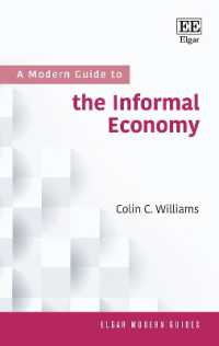 A Modern Guide to the Informal Economy (Elgar Modern Guides)