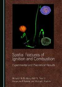 Spatial Features of Ignition and Combustion : Experimental and Theoretical Results