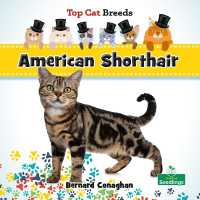American Shorthair (Top Cat Breeds)