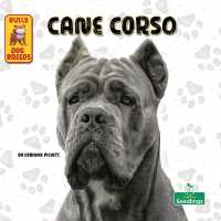 Cane Corso (Bully Dog Breeds)