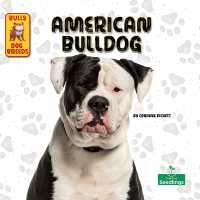 American Bulldog (Bully Dog Breeds)