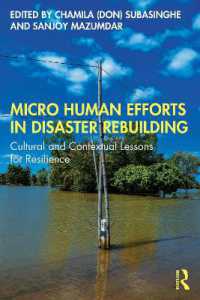 Micro Human Efforts in Disaster Rebuilding : Cultural and Contextual Lessons for Resilience