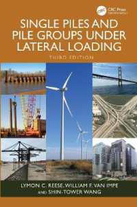 Single Piles and Pile Groups under Lateral Loading （3RD）