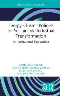 Energy Cluster Policies for Sustainable Industrial Transformation : An Institutional Perspective (Routledge Open Business and Economics)
