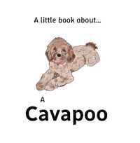 A little book about a Cavapoo (Big Dog Little Dog)