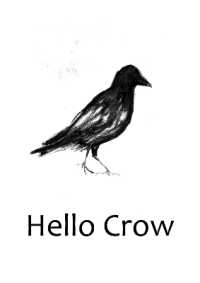 Hello Crow