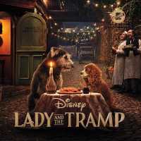 Lady and the Tramp （Library）