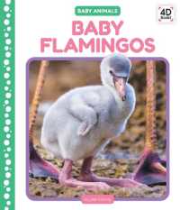 Baby Flamingos (Baby Animals) （Library Binding）