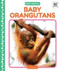 Baby Orangutans (Baby Animals) （Library Binding）