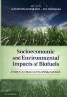 Socioeconomic and Environmental Impacts of Biofuels : Evidence from Developing Nations