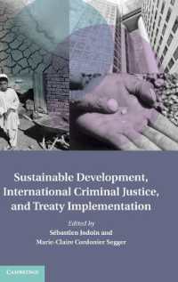 持続可能な開発、国際刑法と条約の施行<br>Sustainable Development, International Criminal Justice, and Treaty Implementation (Treaty Implementation for Sustainable Development)