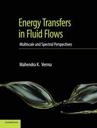 Energy Transfers in Fluid Flows : Multiscale and Spectral Perspectives