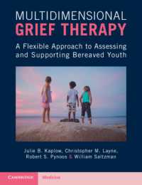 Multidimensional Grief Therapy : A Flexible Approach to Assessing and Supporting Bereaved Youth
