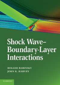 Shock Wave-Boundary-Layer Interactions (Cambridge Aerospace Series)