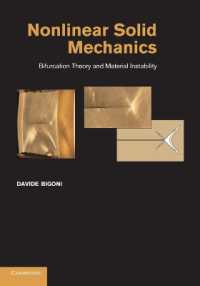 Nonlinear Solid Mechanics : Bifurcation Theory and Material Instability