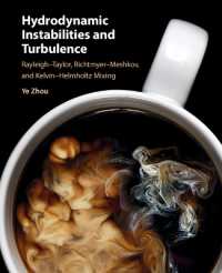流体力学的不安定性と乱流<br>Hydrodynamic Instabilities and Turbulence : Rayleigh-Taylor, Richtmyer-Meshkov, and Kelvin-Helmholtz Mixing