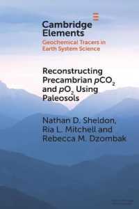Reconstructing Precambrian pCO2 and pO2 Using Paleosols (Elements in Geochemical Tracers in Earth System Science)